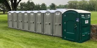 Best Portable Toilets for Disaster Relief Sites  in Taylorsville, MS